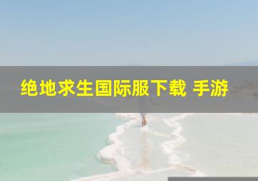 绝地求生国际服下载 手游